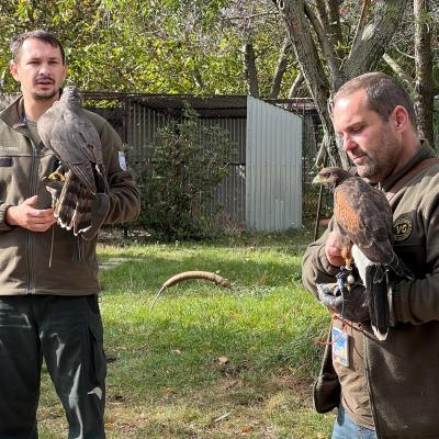 395408012 846628370803640 6280573279622935904 N