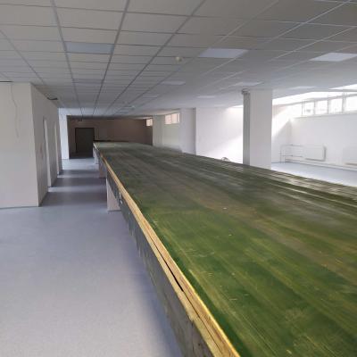 272831593 666763931423332 1244856031986289529 N